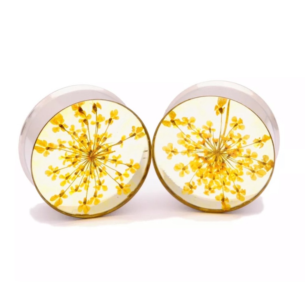 1 1/4 (32mm) plugs